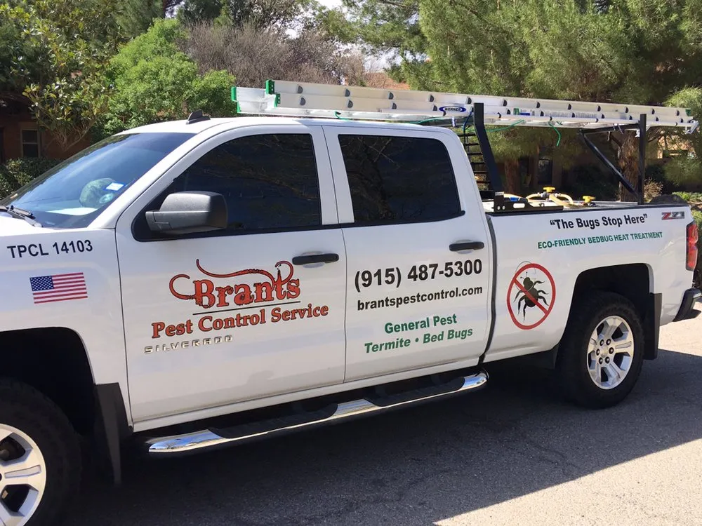 Professional yard cleanup service for outdoor upgrades in El Paso, TX by Brants Pest Control Services