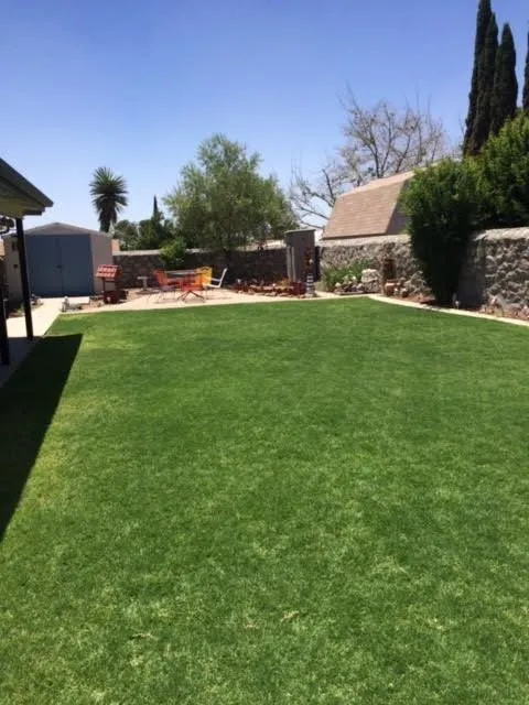 Custom lawn care service for outdoor upgrades across El Paso, TX - Brants Pest Control Services