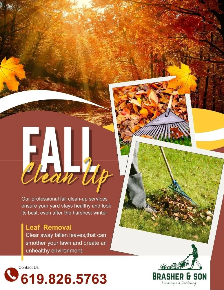 Local landscaping services experts serving Iola, KS - Brasher & Son Landscape & Gardening