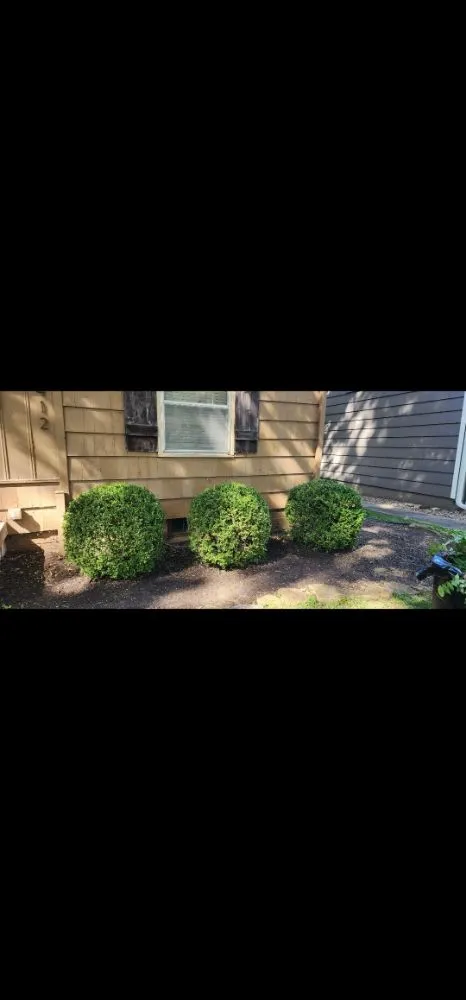 Professional landscaping services in Iola, KS by Brasher & Son Landscape & Gardening