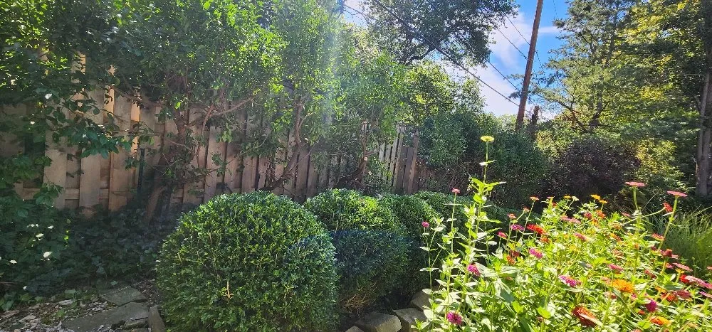 Professional outdoor landscaping in Iola, KS by Brasher & Son Landscape & Gardening