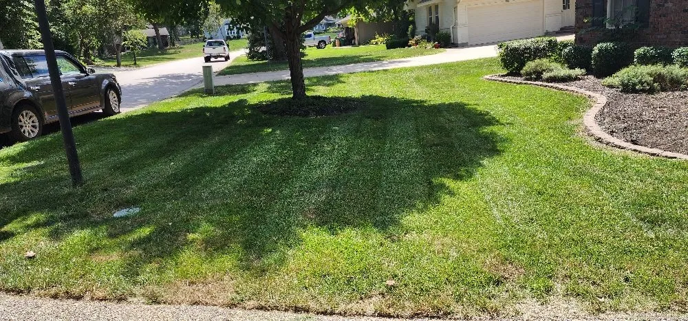 Affordable residential landscaping in Iola, KS - Brasher & Son Landscape & Gardening