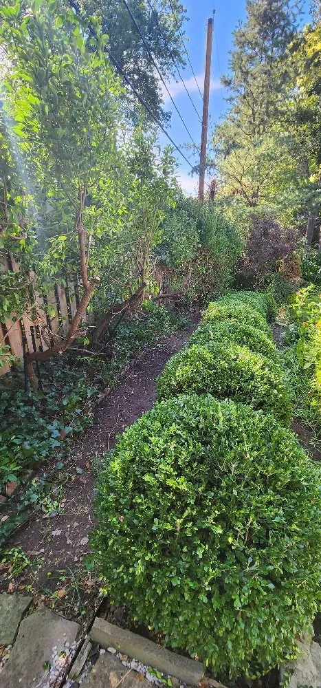 Expert landscape design for beautiful yards across Iola, KS - Brasher & Son Landscape & Gardening