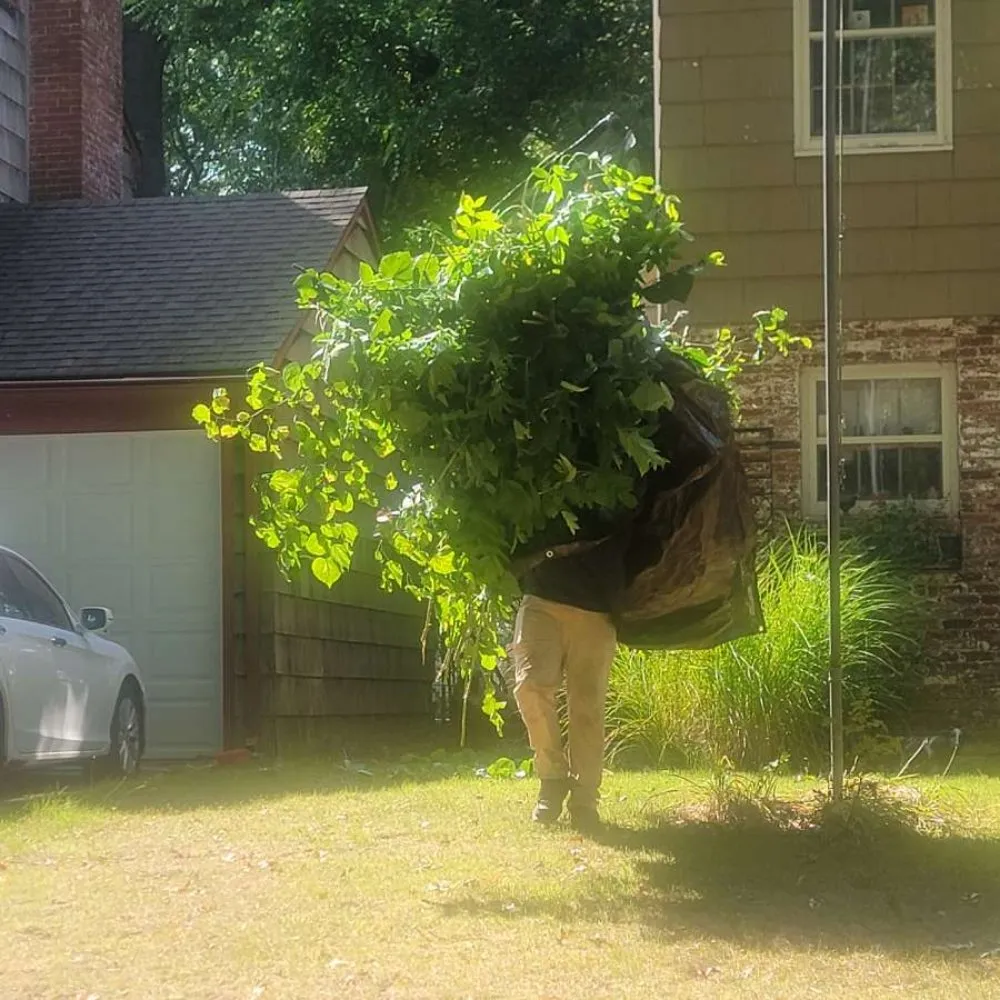 Affordable landscape installation experts serving Iola, KS - Brasher & Son Landscape & Gardening