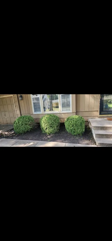 Professional landscape installation in Iola, KS by Brasher & Son Landscape & Gardening