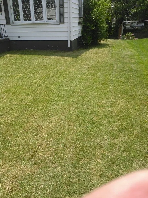 Affordable landscape design experts serving Waterbury, CT - Brass City Lawn Care