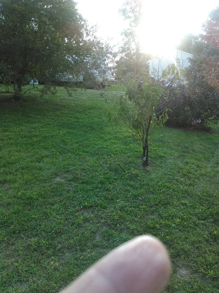 Custom lawn care service with custom design across Waterbury, CT - Brass City Lawn Care