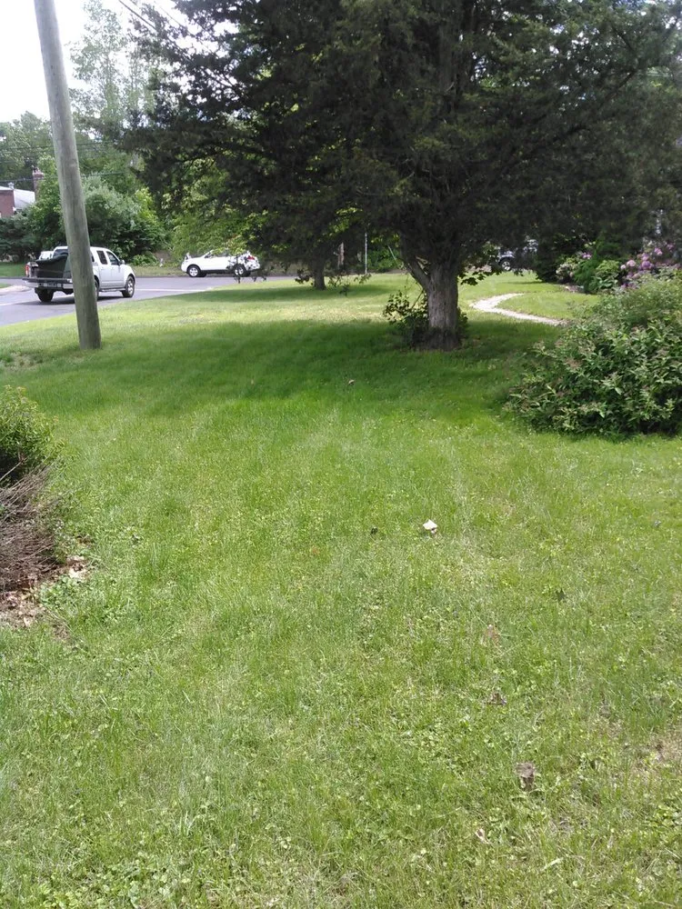Reliable residential landscaping for year-round maintenance in Waterbury, CT by Brass City Lawn Care