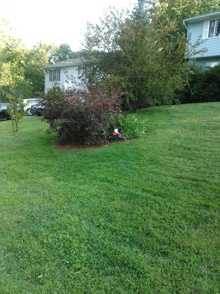 Trusted landscaping services for beautiful yards in Waterbury, CT by Brass City Lawn Care