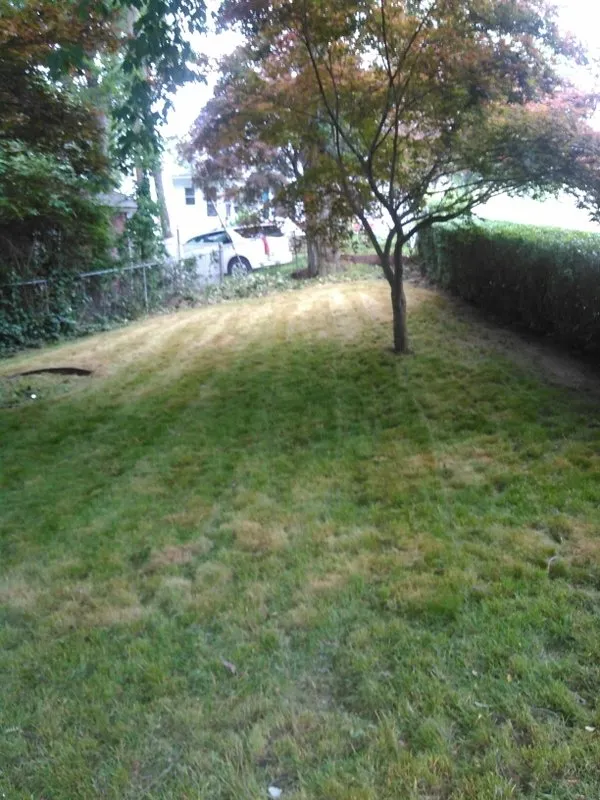 Local yard cleanup service in Waterbury, CT - Brass City Lawn Care