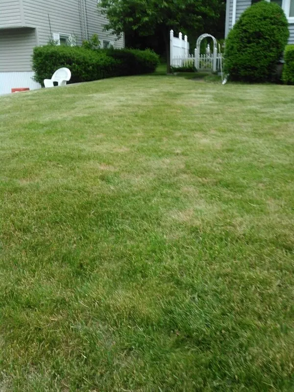 Trusted landscaping services for outdoor upgrades across Waterbury, CT - Brass City Lawn Care