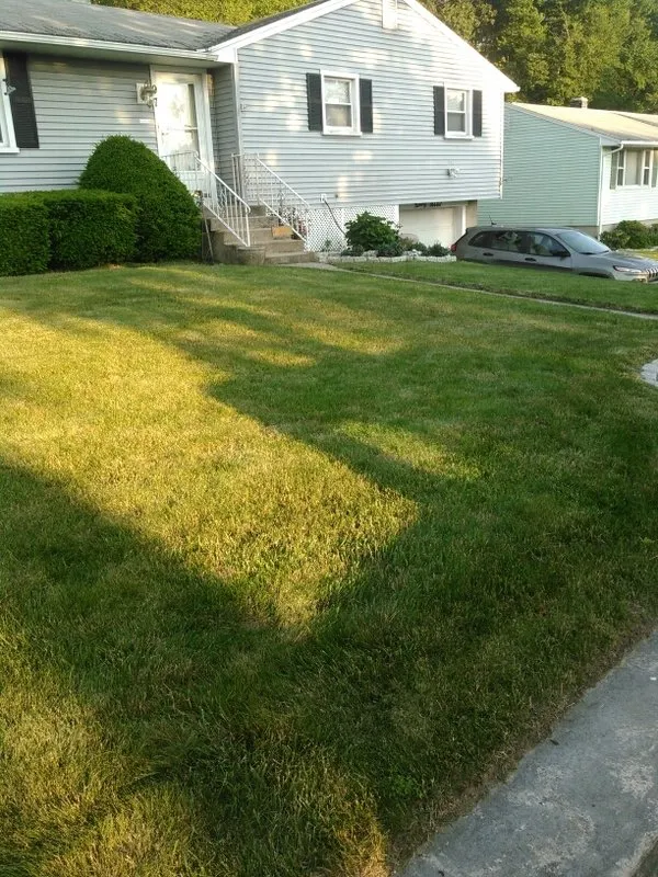 Expert yard maintenance in Waterbury, CT by Brass City Lawn Care