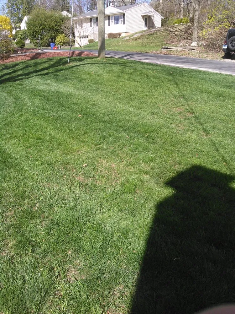 Professional yard maintenance experts serving Waterbury, CT - Brass City Lawn Care