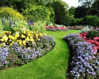 Affordable yard cleanup service in Glendale Heights, IL - Brass Lawn Care & Landscaping