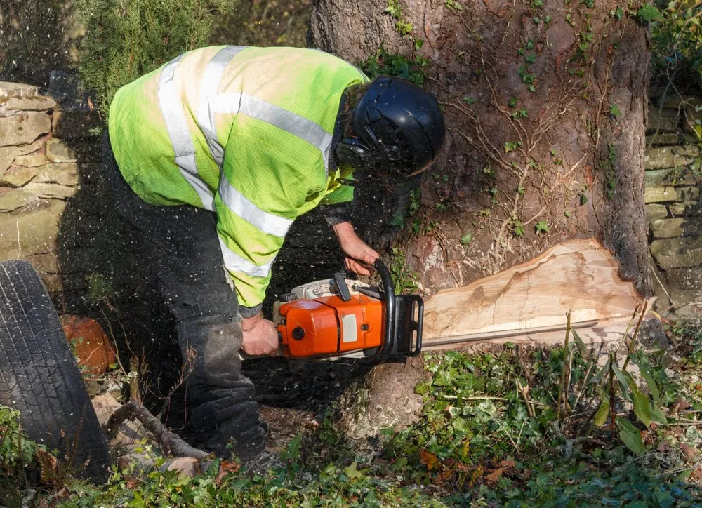 Affordable yard maintenance in Saint Francisville, LA - Braswell Tree Service