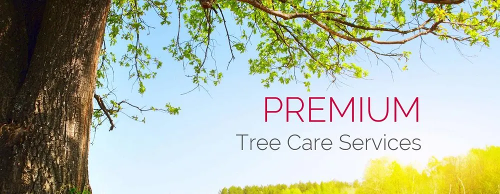 Professional garden landscaping in Saint Francisville, LA - Braswell Tree Service