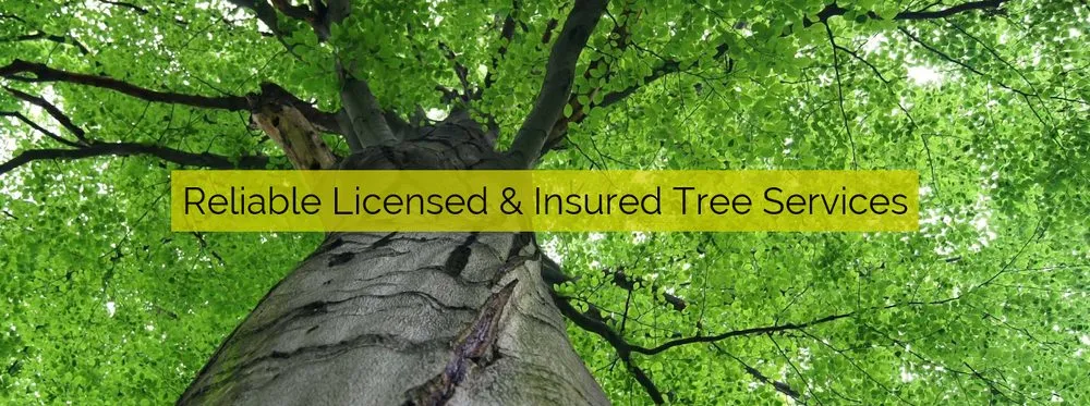 Trusted outdoor landscaping in Saint Francisville, LA - Braswell Tree Service
