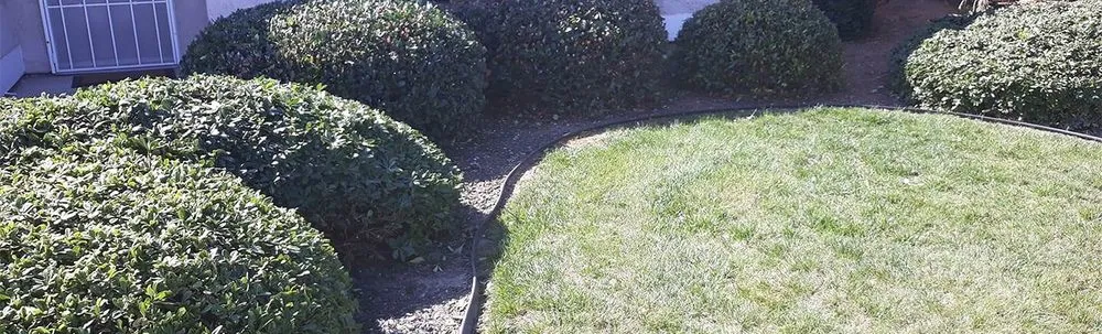 Professional landscape design experts serving Visalia, CA - Bratcher Gardening