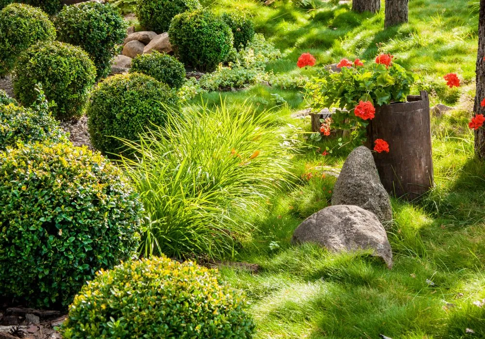 Trusted lawn care service in Visalia, CA by Bratcher Gardening