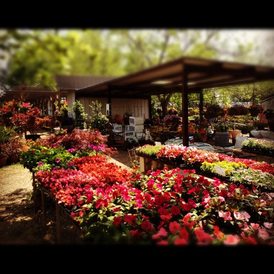 Affordable landscaping services for outdoor upgrades across Paris, TX - Bratcher's Nursery & Botanical Boutique