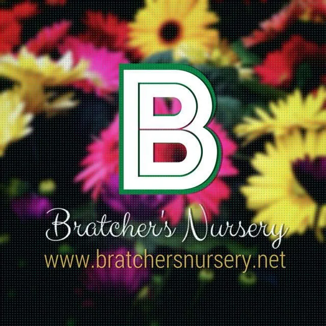 Top-rated landscape installation experts serving Paris, TX - Bratcher's Nursery & Botanical Boutique