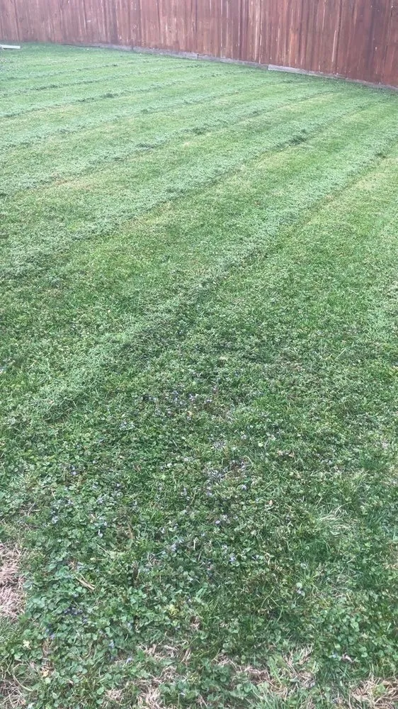 Trusted lawn mowing service in Kirksville, MO by Bratton Lawncare