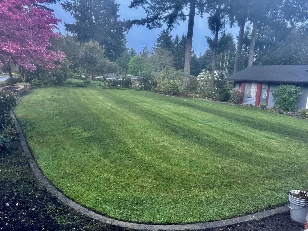 Local landscaping services experts serving Olympia, WA - Brattons Landscaping