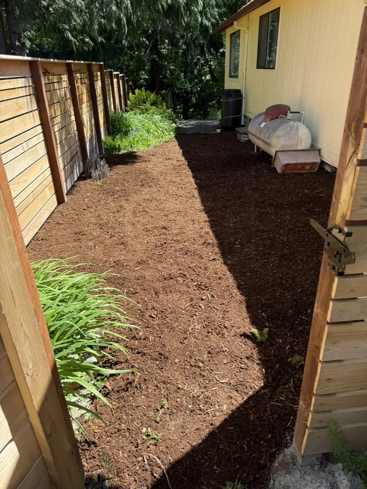 Local lawn care service experts serving Olympia, WA - Brattons Landscaping