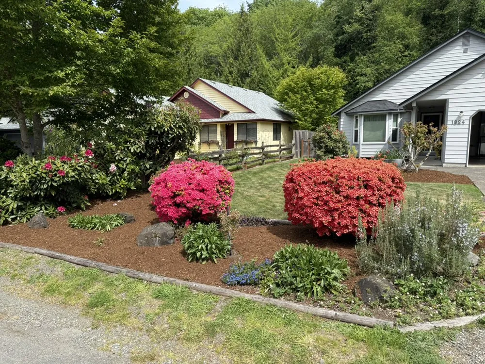 Expert lawn care service for year-round maintenance in Olympia, WA by Brattons Landscaping
