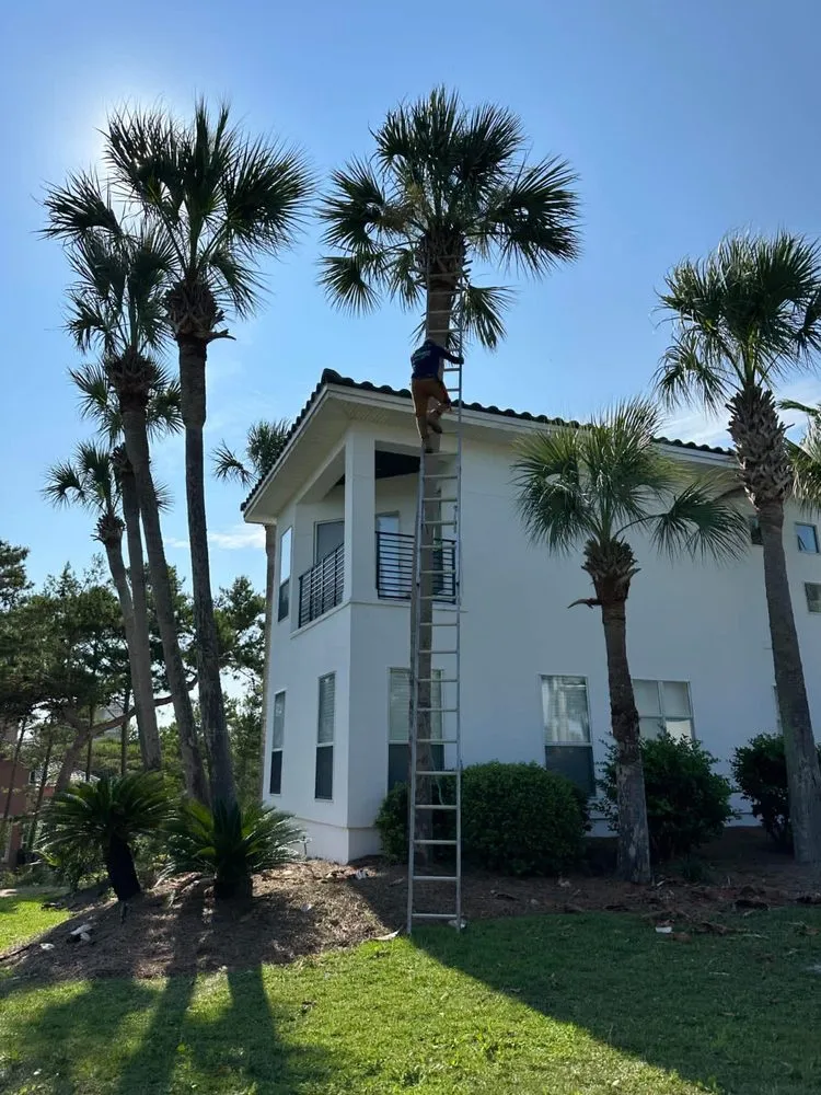 Trusted yard maintenance in Freeport, FL by Braulio Lawn Services