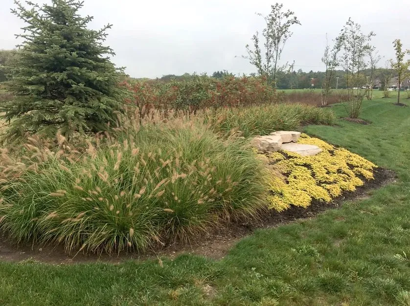 Reliable outdoor landscaping for residential properties in Mundelein, IL by Braulio Mulch Supply