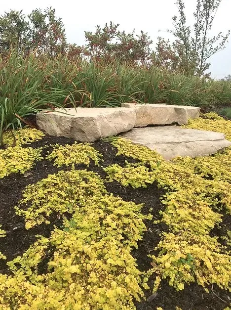 Trusted landscaping services in Mundelein, IL by Braulio Mulch Supply