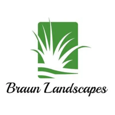 Braun Landscapes