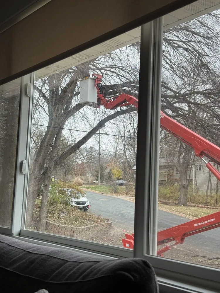 Top-rated lawn care service in Richfield, MN - Braun Outdoors