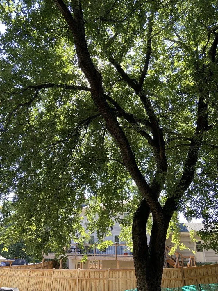 Professional lawn mowing service in Richfield, MN - Braun Outdoors