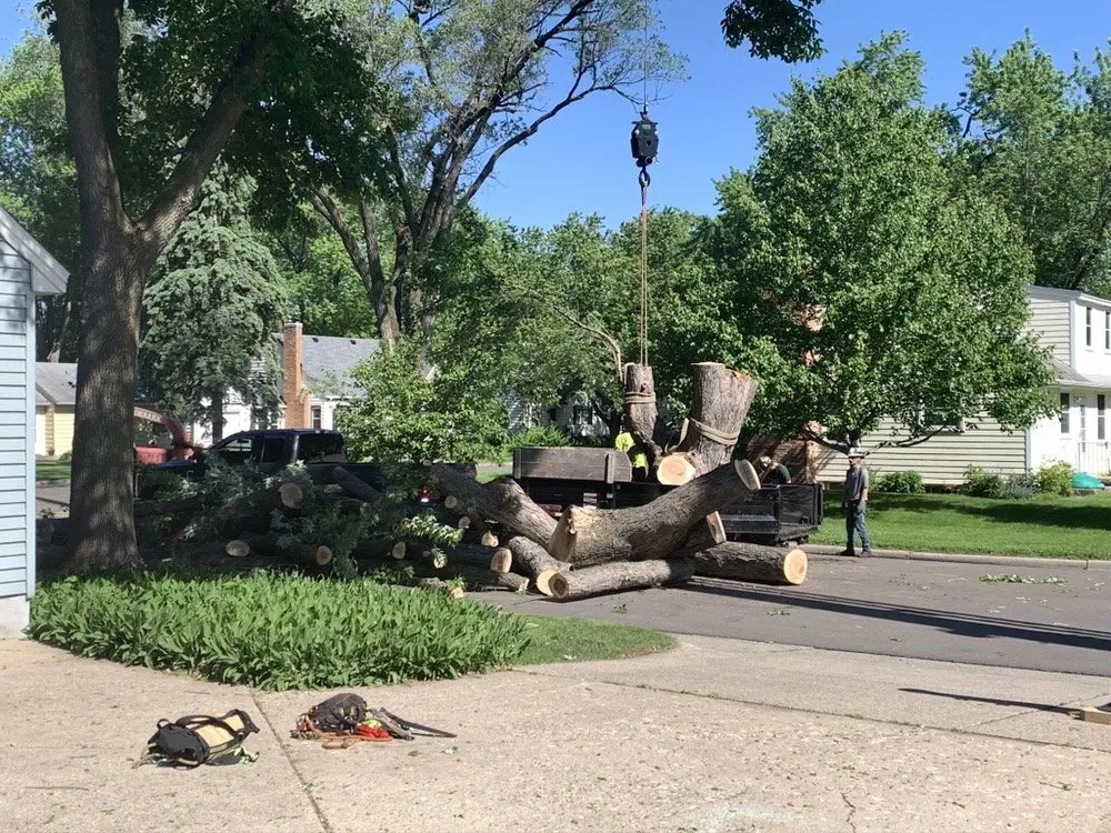 Reliable lawn care service for beautiful yards in Richfield, MN by Braun Outdoors