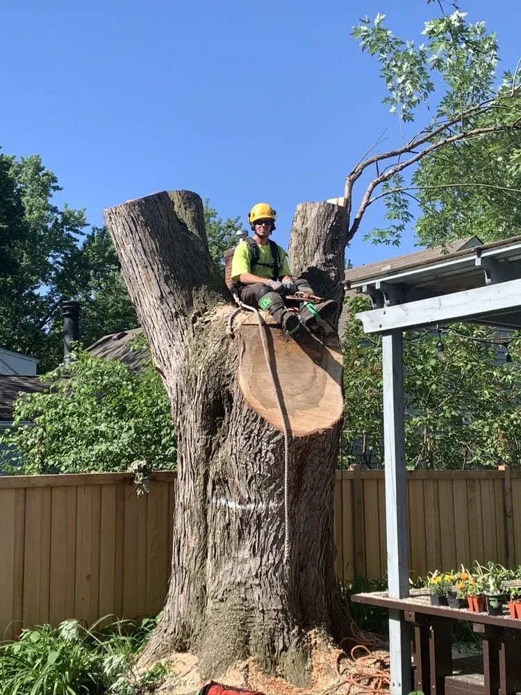 Affordable landscape installation near you across Richfield, MN - Braun Outdoors