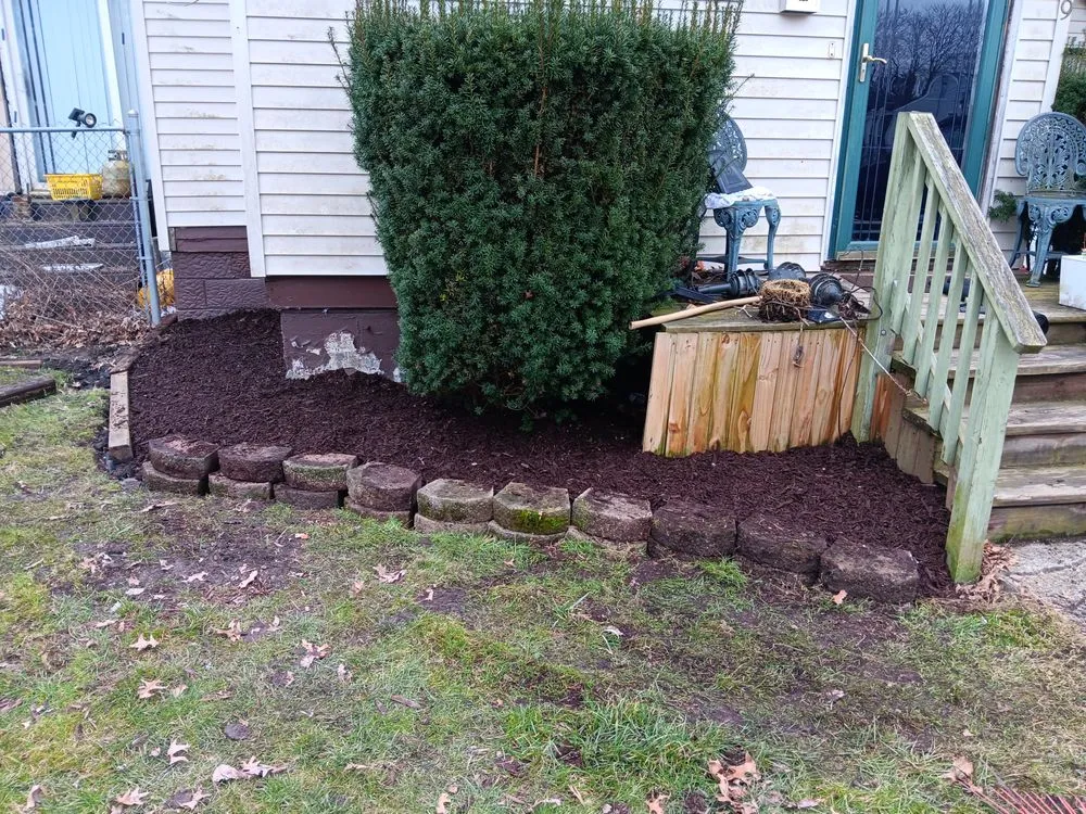 Top-rated lawn care service experts serving Warren, OH - Braun's Tree Service & Stump Removal