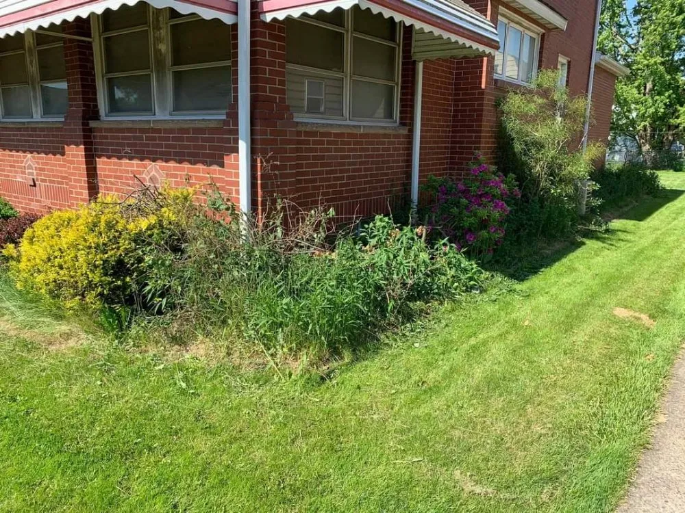 Expert garden landscaping in Warren, OH by Braun's Tree Service & Stump Removal