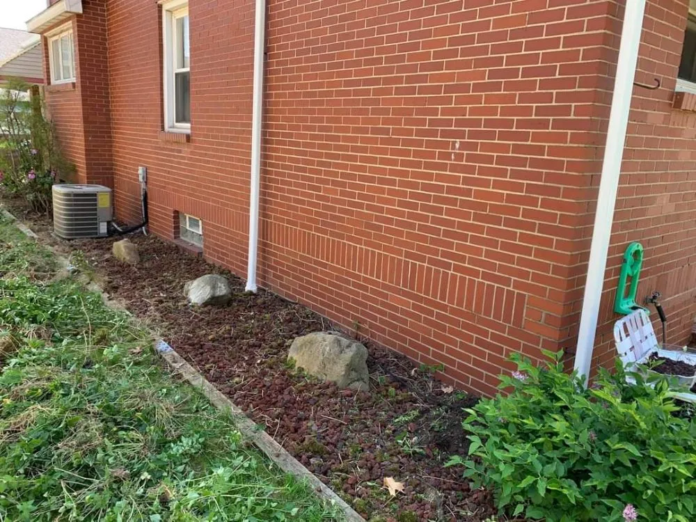 Professional yard cleanup service in Warren, OH - Braun's Tree Service & Stump Removal