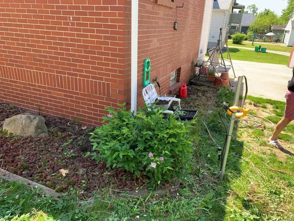 Trusted outdoor landscaping in Warren, OH - Braun's Tree Service & Stump Removal