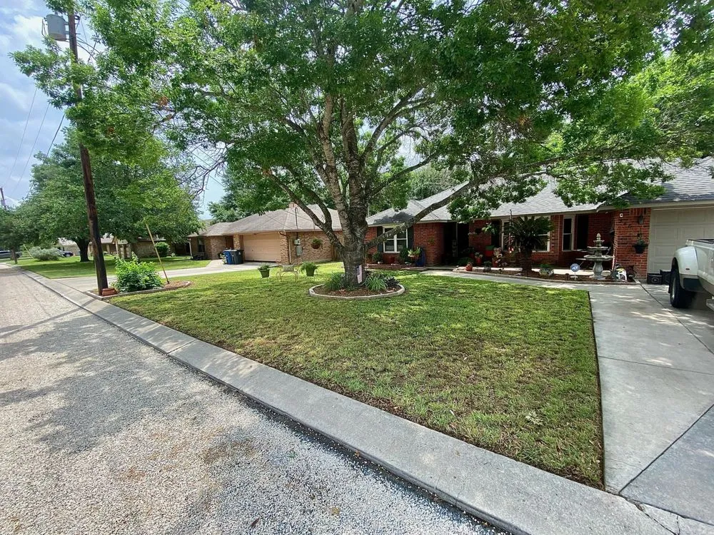 Top-rated lawn mowing service in New Braunfels, TX - Brauntex Outdoor Solutions