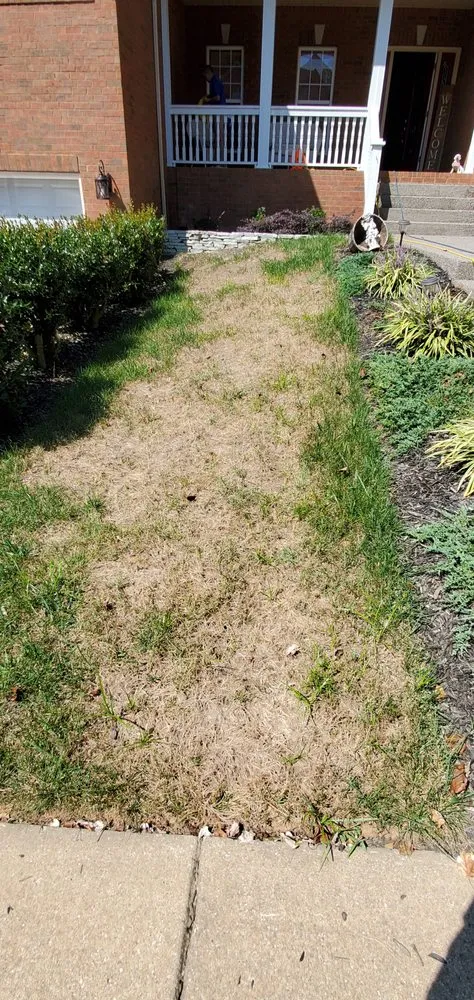 Top-rated lawn care service with custom design across Mount Juliet, TN - Brauss Lawn Service