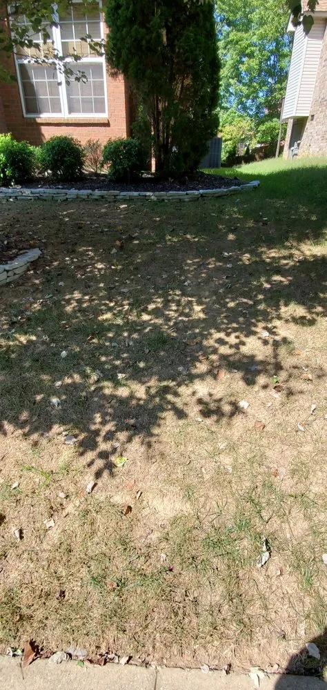 Local lawn mowing service in Mount Juliet, TN - Brauss Lawn Service