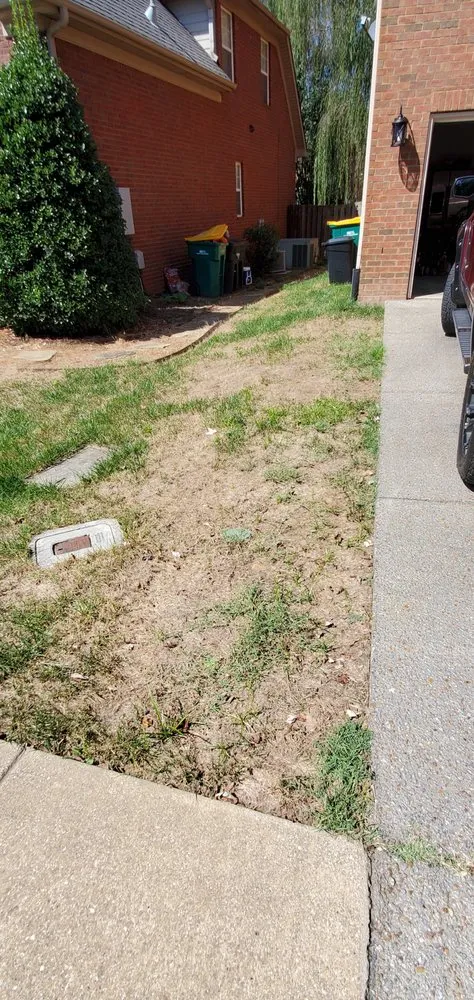 Trusted lawn mowing service experts serving Mount Juliet, TN - Brauss Lawn Service