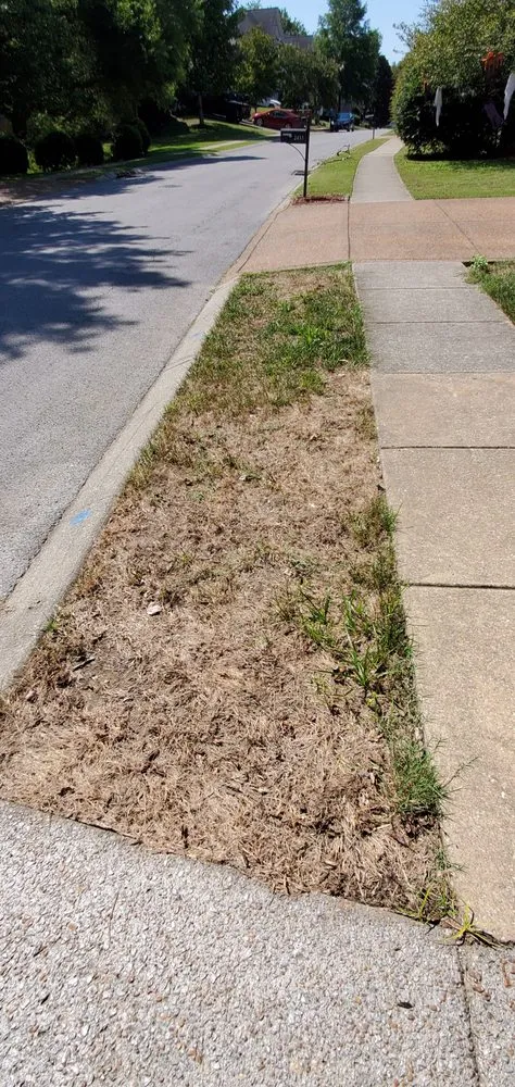 Professional yard maintenance for beautiful yards in Mount Juliet, TN by Brauss Lawn Service