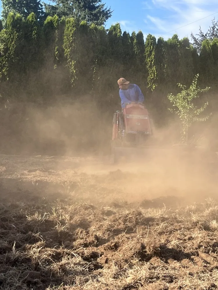 Trusted yard maintenance experts serving Keizer, OR - Brave Landscaping & Design