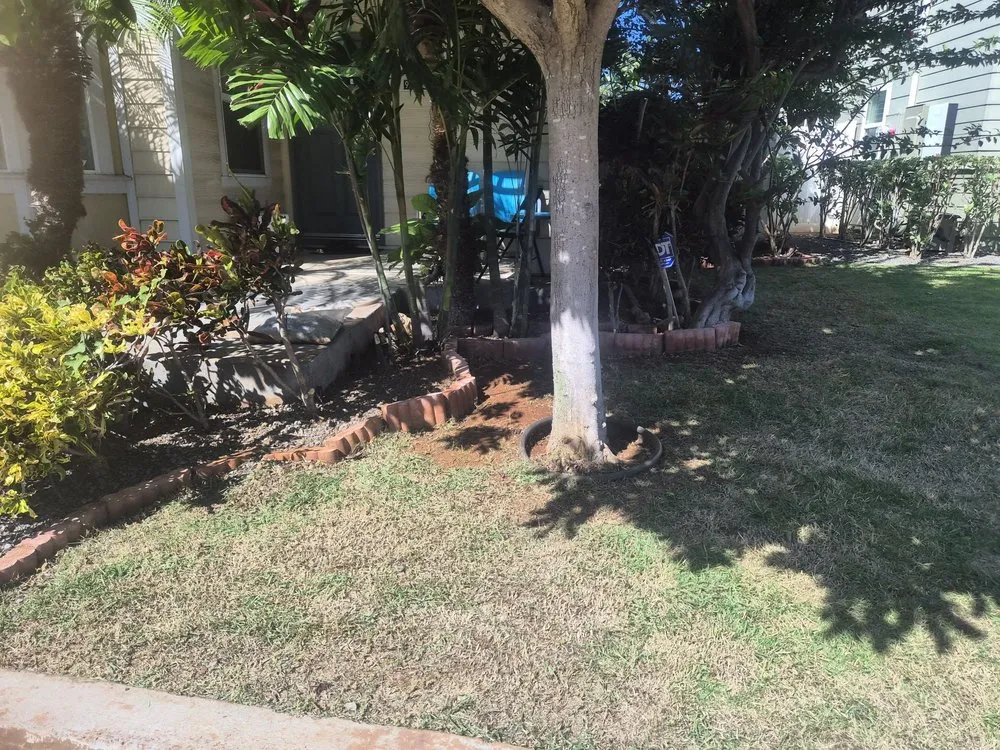 Professional yard cleanup service in Pearl City, HI by Braves Single Homes Lawn Services