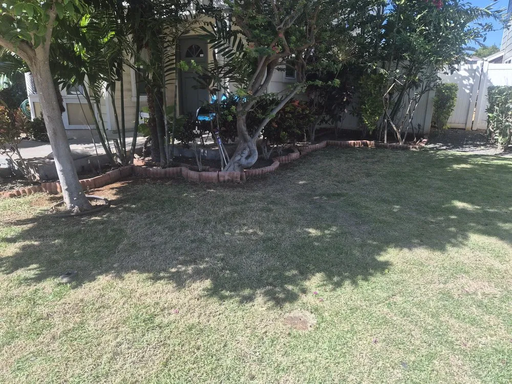 Expert yard cleanup service experts serving Pearl City, HI - Braves Single Homes Lawn Services