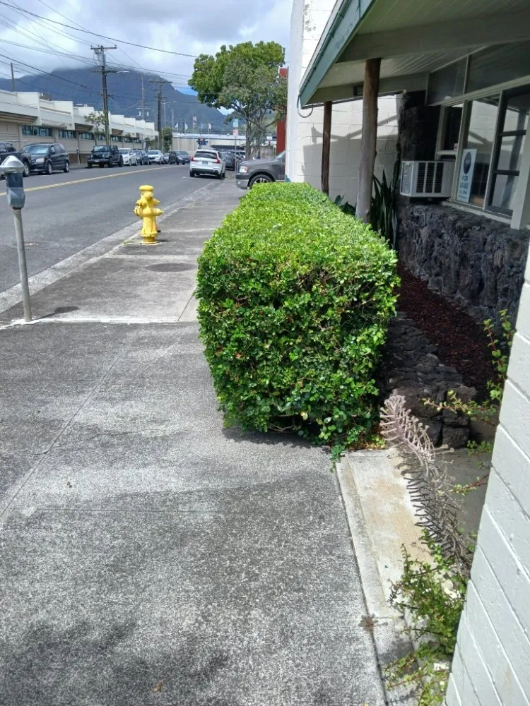 Expert residential landscaping in Pearl City, HI - Braves Single Homes Lawn Services